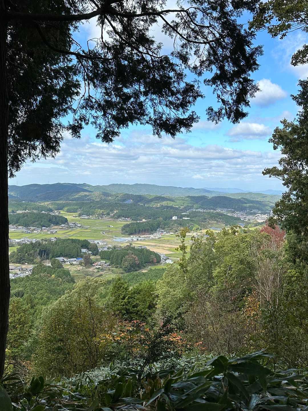 わっ♪
山頂からよき眺望です🤩✨
