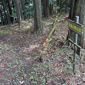 下山します