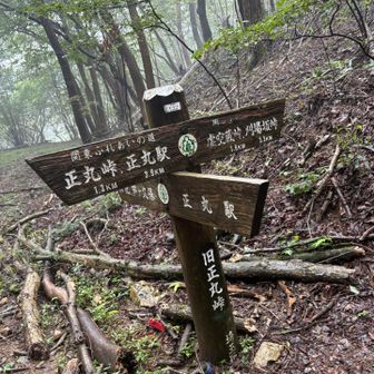 この辺りでやっとスライド1人。というか、人がいる事に逆に驚いた。