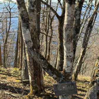 石尾根を伝って水根山（1620m）　鷹ノ巣山まではあと一息