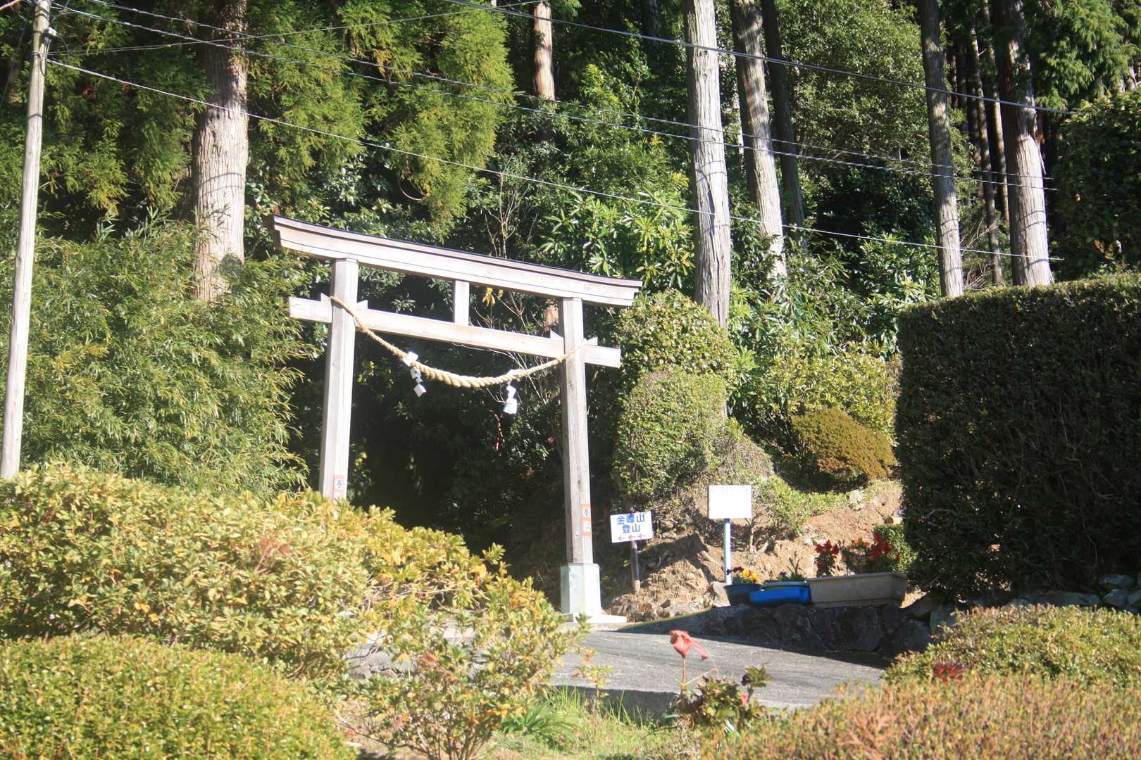 何時もの登山口
