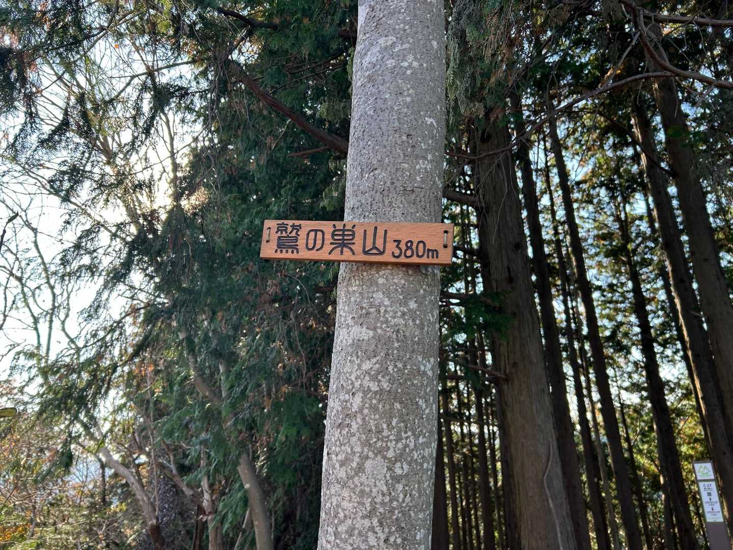 鷲の巣山登山口-鷲の巣山 往復コースの写真