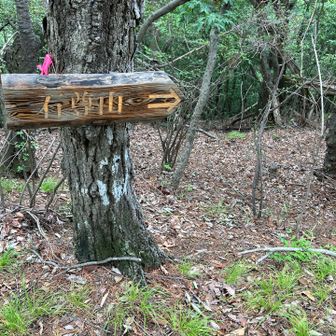 石尊山へ向かいます⛰️