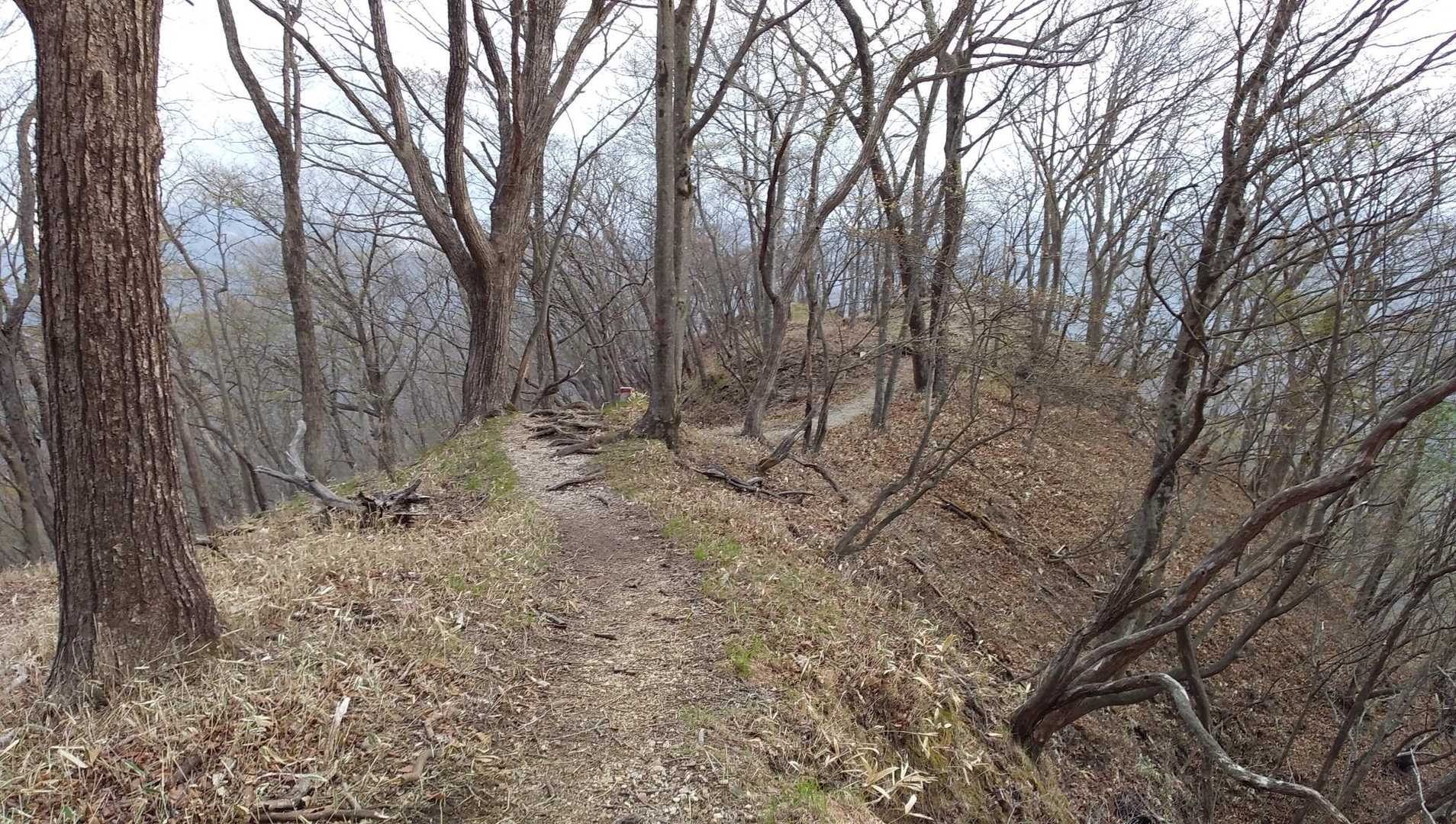 来た道を戻ります