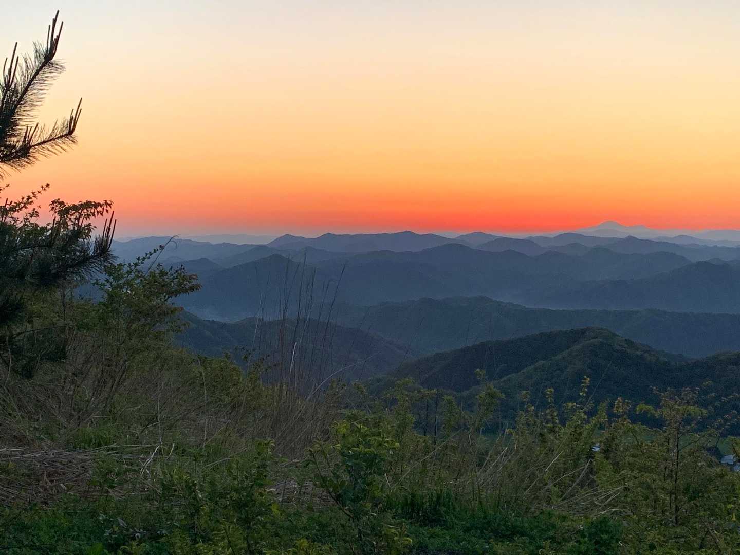 美しい
