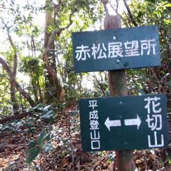 赤松展望所、ここから「平成登山道」を下ります🥾