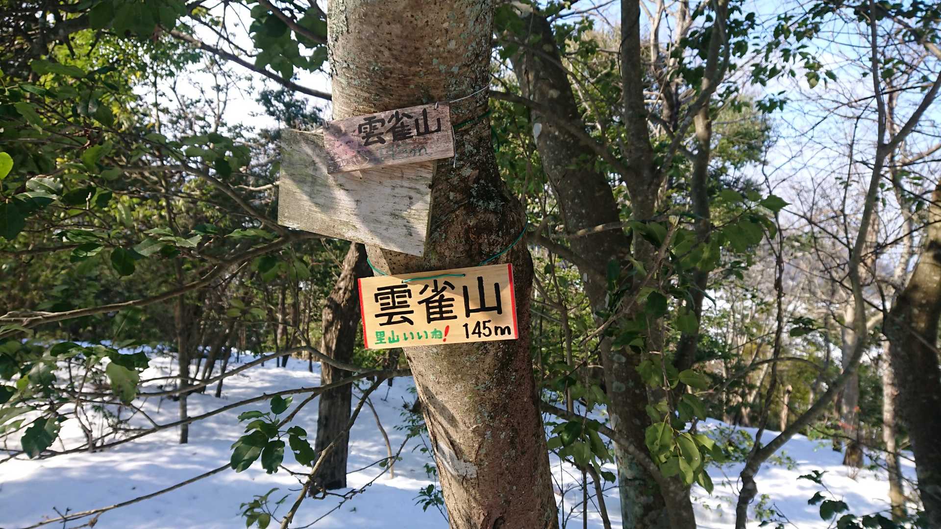 雲雀山145m登頂🐦