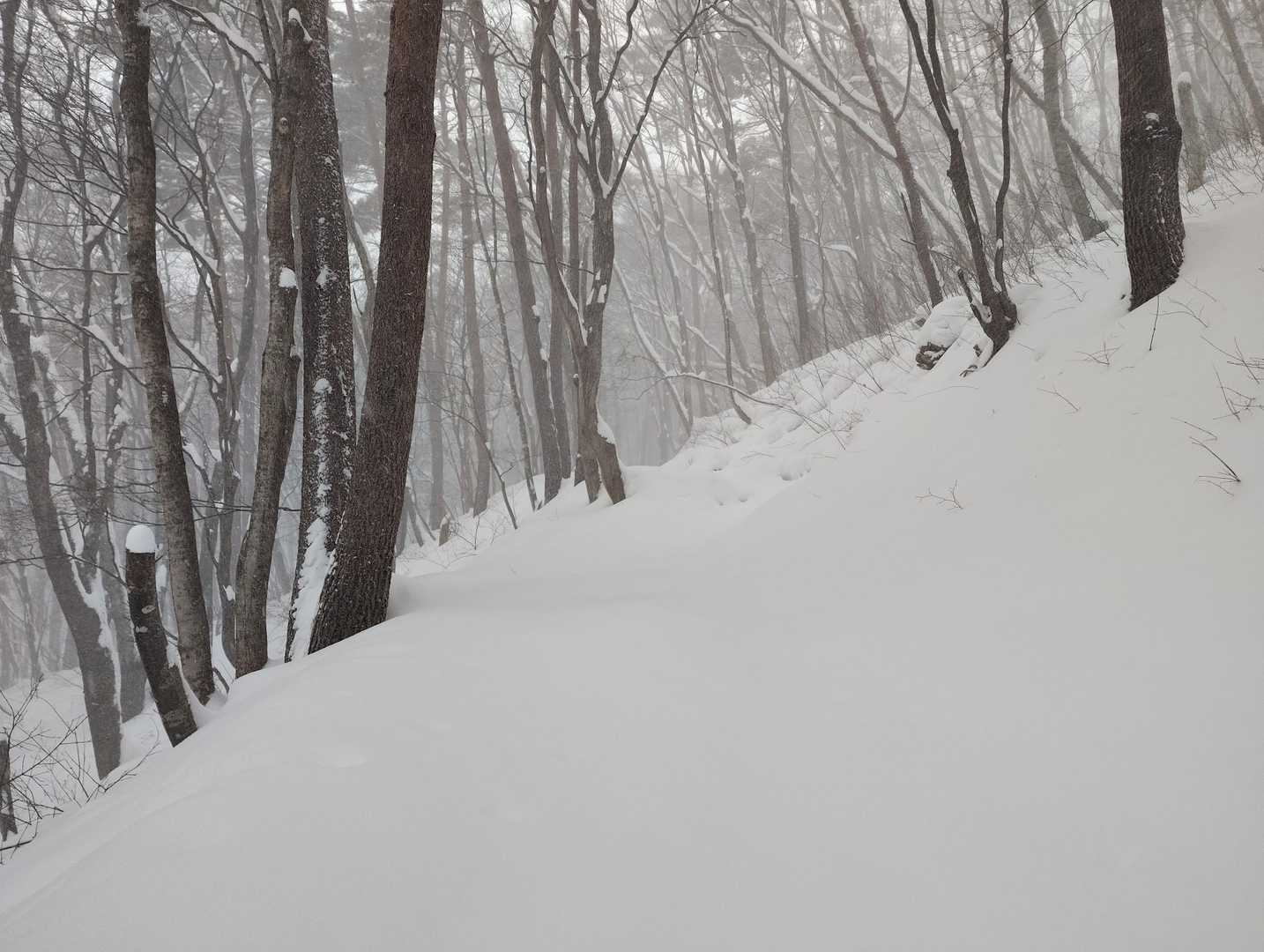 涼やかな沢音と水神の碑を抜けて、仙台平野を見渡す泉ヶ岳の定番の写真