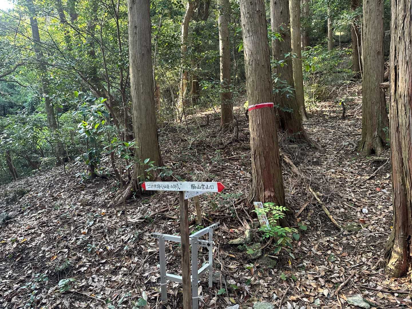 分岐
右の方👉荒平山へ⛰️