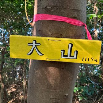 山頂(⛰️数日前にも同じ名前の山に登ったなぁ〜🤔読み方が違うかも😅)