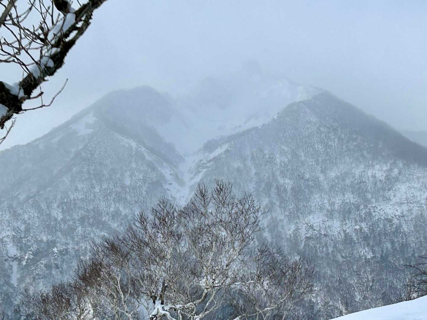 幌平山 往復コースの写真