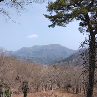 霊仙は車も多かったので凄い人だったと思います。