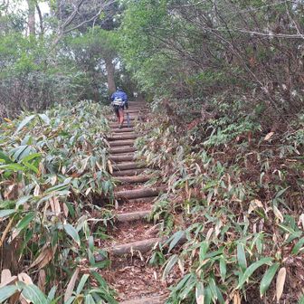 どこまでも続く横木の階段
