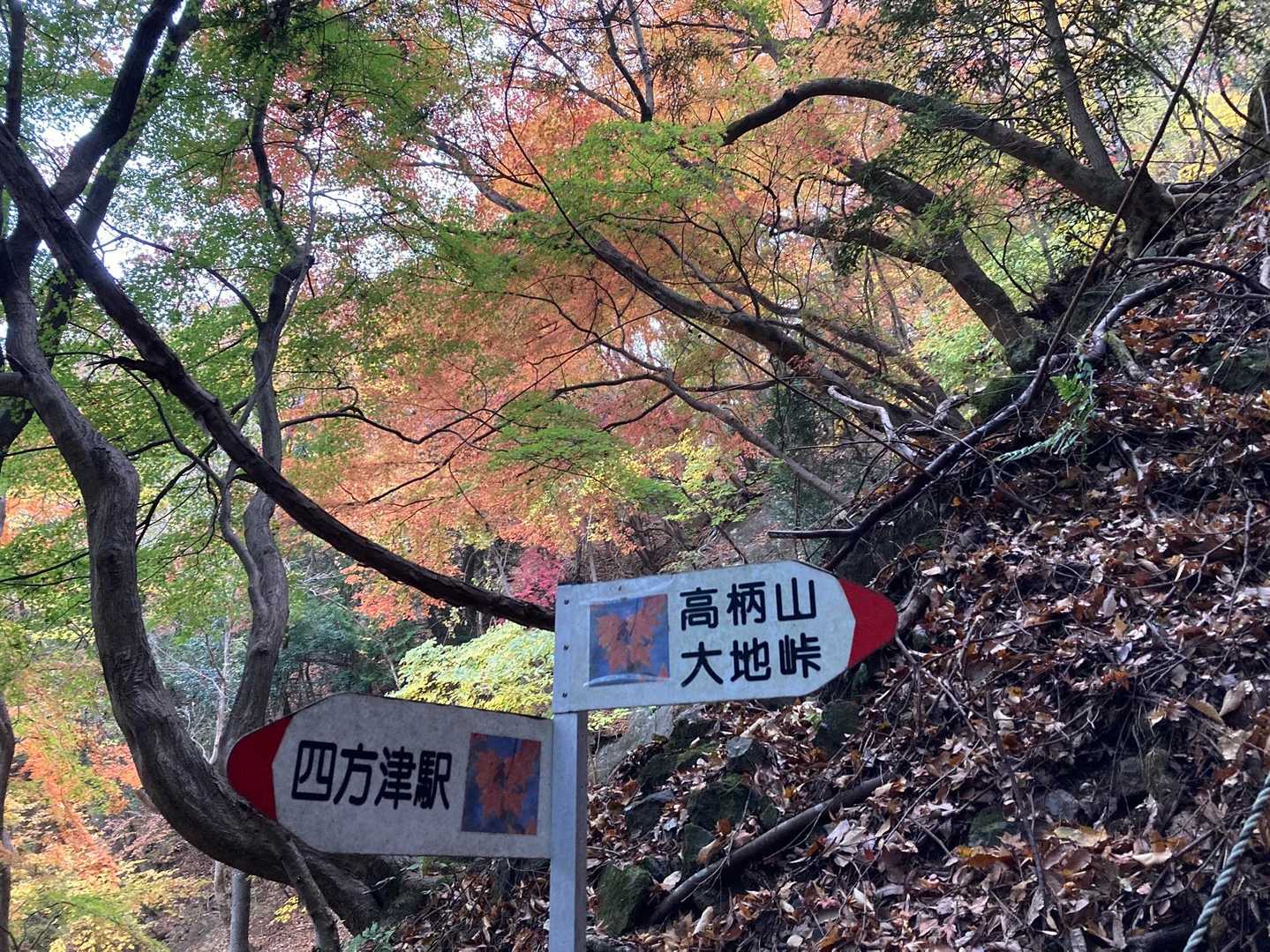 後ろの紅葉が綺麗😍