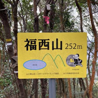 去年は大海山から縦走しました