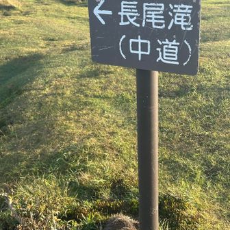 別ルートその2