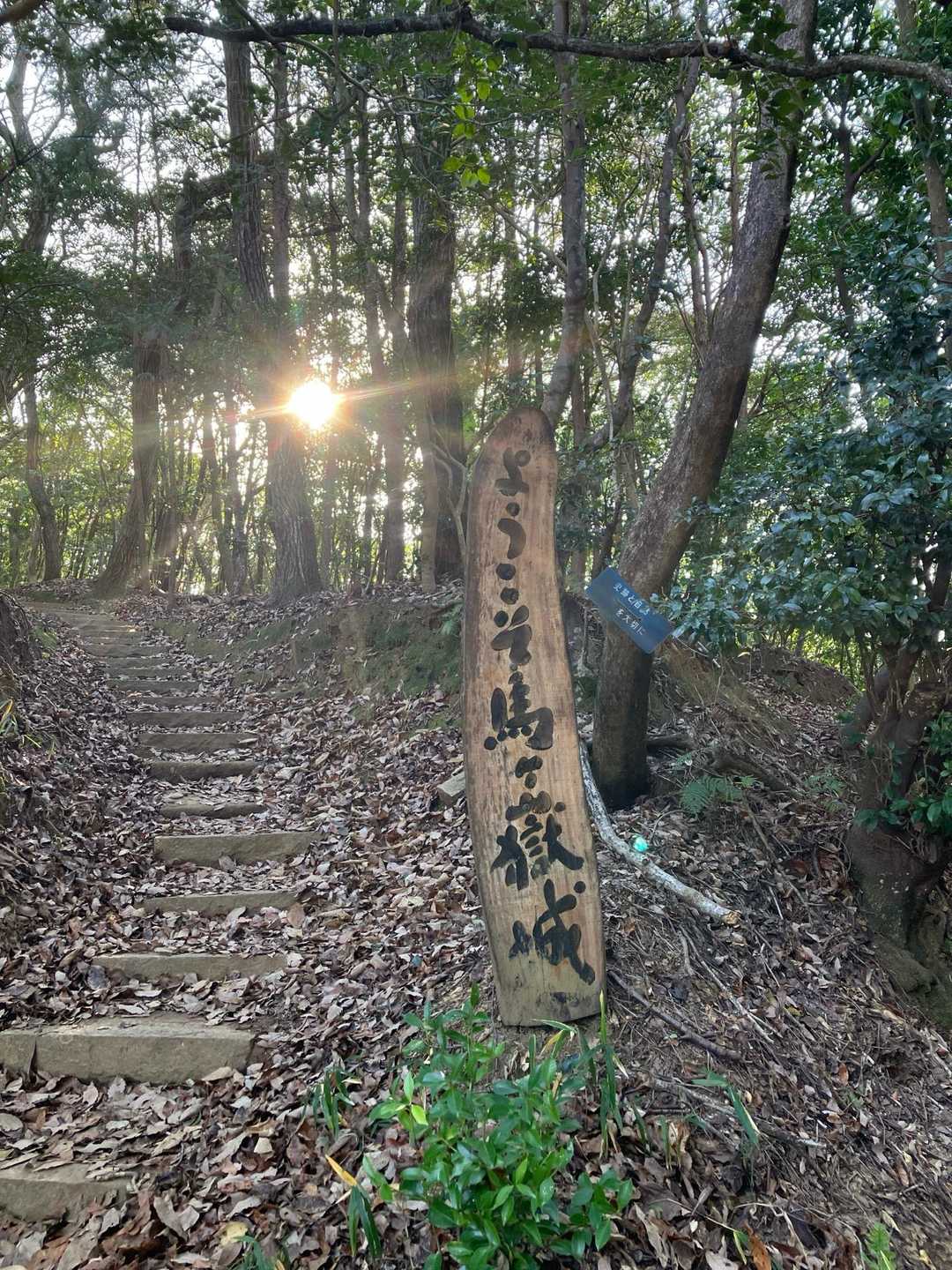 ここから登ってましたが今日はこちらに下山しました