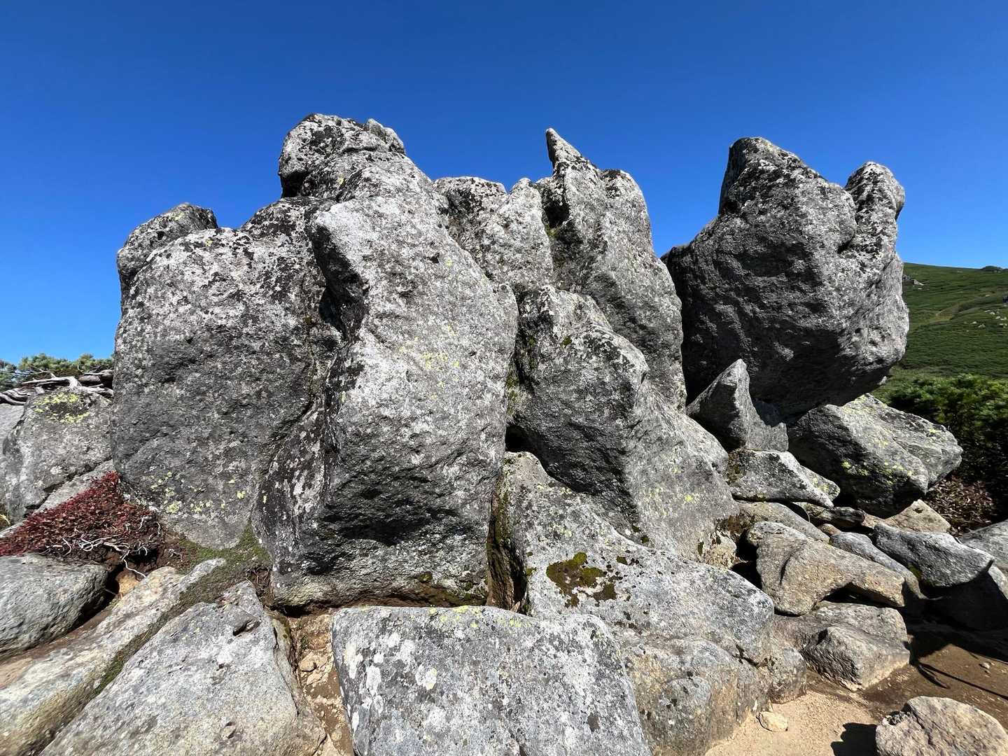 愛山渓登山口-沼ノ平-当麻乗越 往復コースの写真