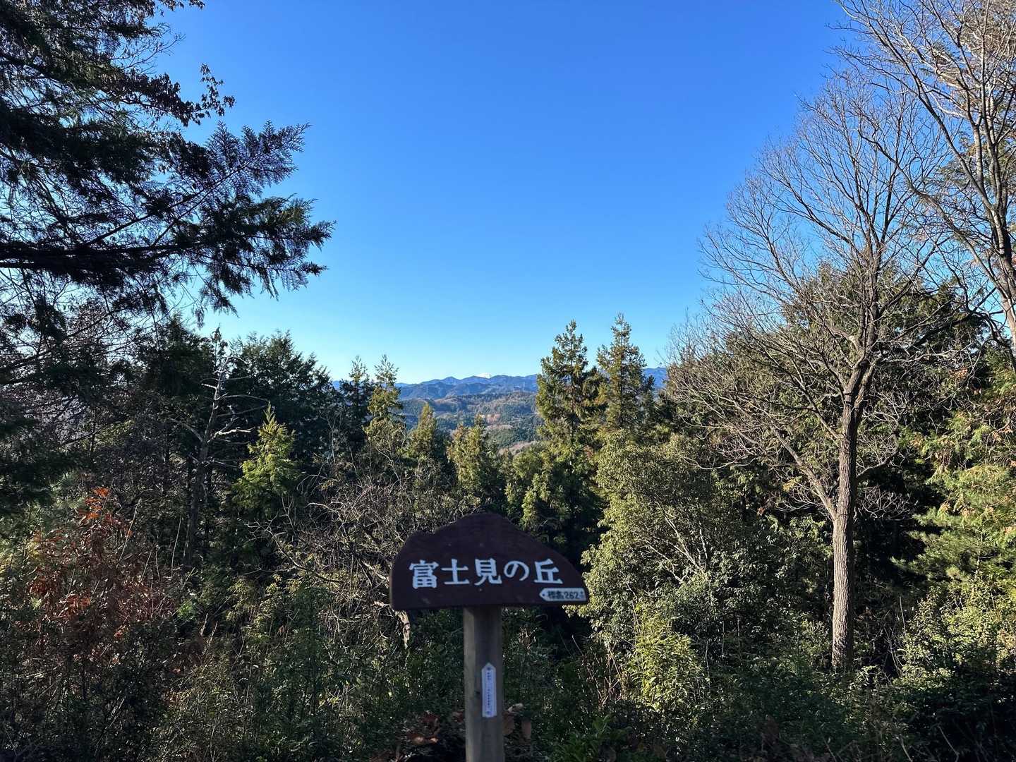 柏木山-赤根峠-龍崖山 周回コースの写真