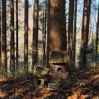 意外と急登なので葉っぱで滑ります🍂🍃
山頂手前の祠👣🙏