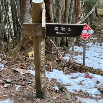 芋の木ドッケ…
ドッケは突起が訛ったものだそうです。