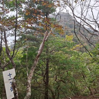 ラスボス登場