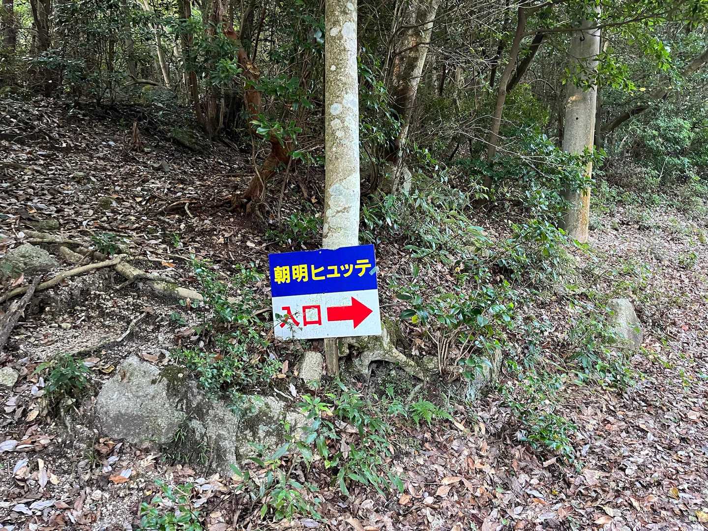 ヒューって登れるかなぁ