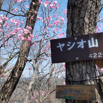 ヤシオ山422m 
下の板に田沼アルプスの表示