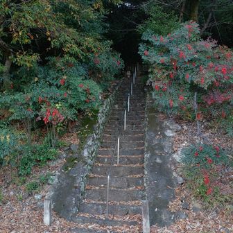 麓におりて、ロードを歩いての登り返し
なんで～こんなにツラいことをしてるのでしょうか？笑笑
KINKAトレーニングの一環です😅