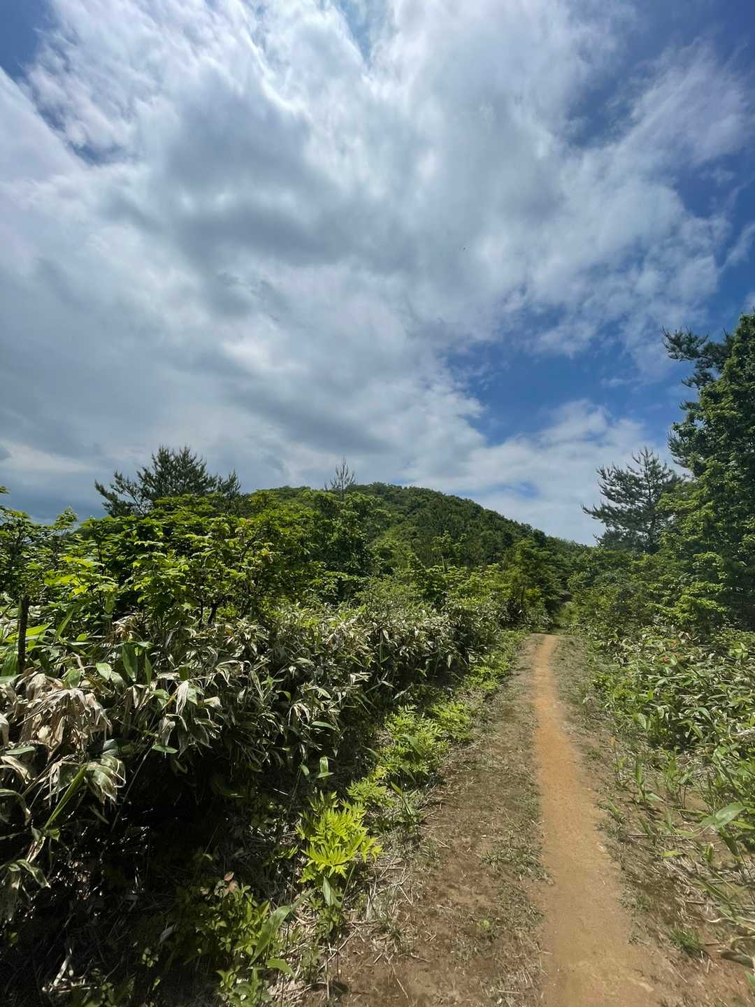 大倉岳登山口-ほとけ峠-大倉岳 周回コースの写真