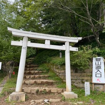 四合目
登山道に戻ります