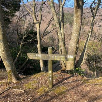 ここでちょっと休憩🍵