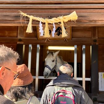 来年は午年、丙午です🐴
