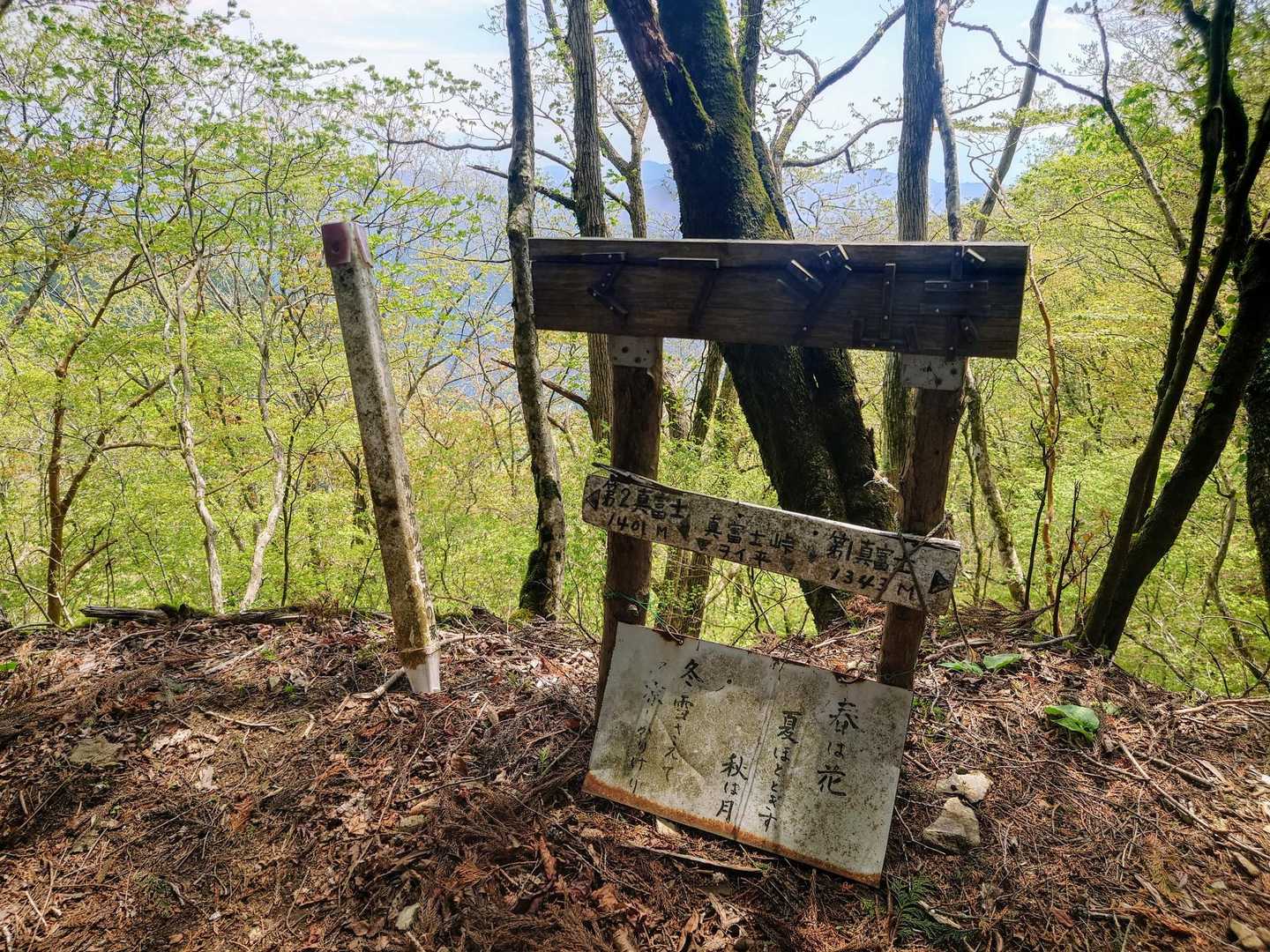 マフジ峠分岐。
第2真富士山へ向かいます。