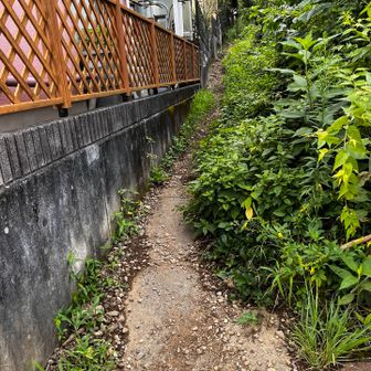 トレランの方が沢山いらっしゃいました。