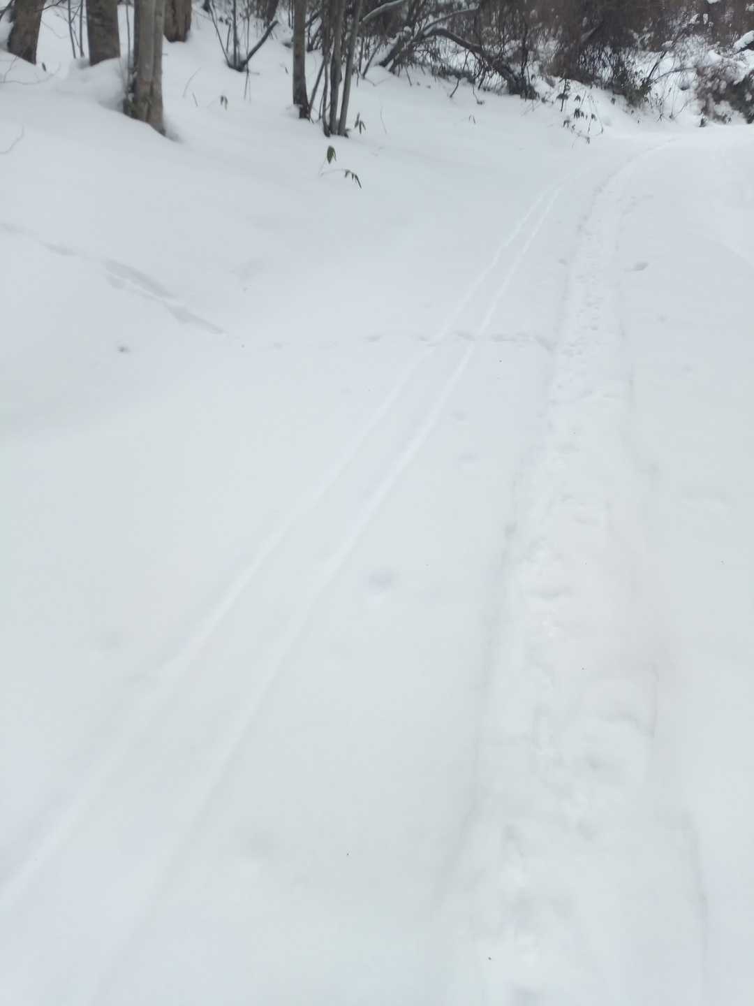 スキー跡？ソリかなー