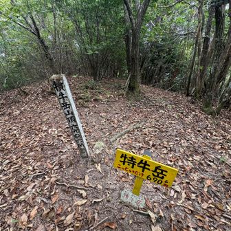 こっとい岳とおちゃこ
山口県にも同じ名前のJRの駅があったな