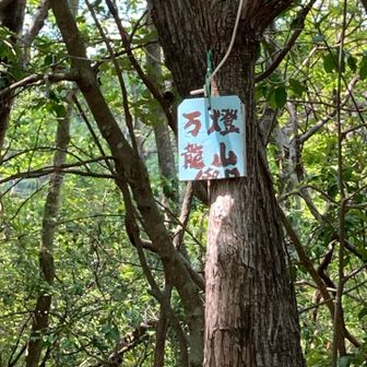 3座目🙌🏻

かなりの急斜面だったけど、九十九折りで問題なく登れた

この山は五山送り火の「妙」の🔥を焚くお山ですって