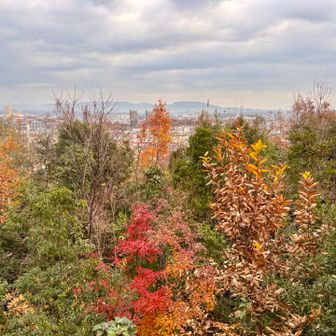 展望台からの眺め
ちょっと薄曇り