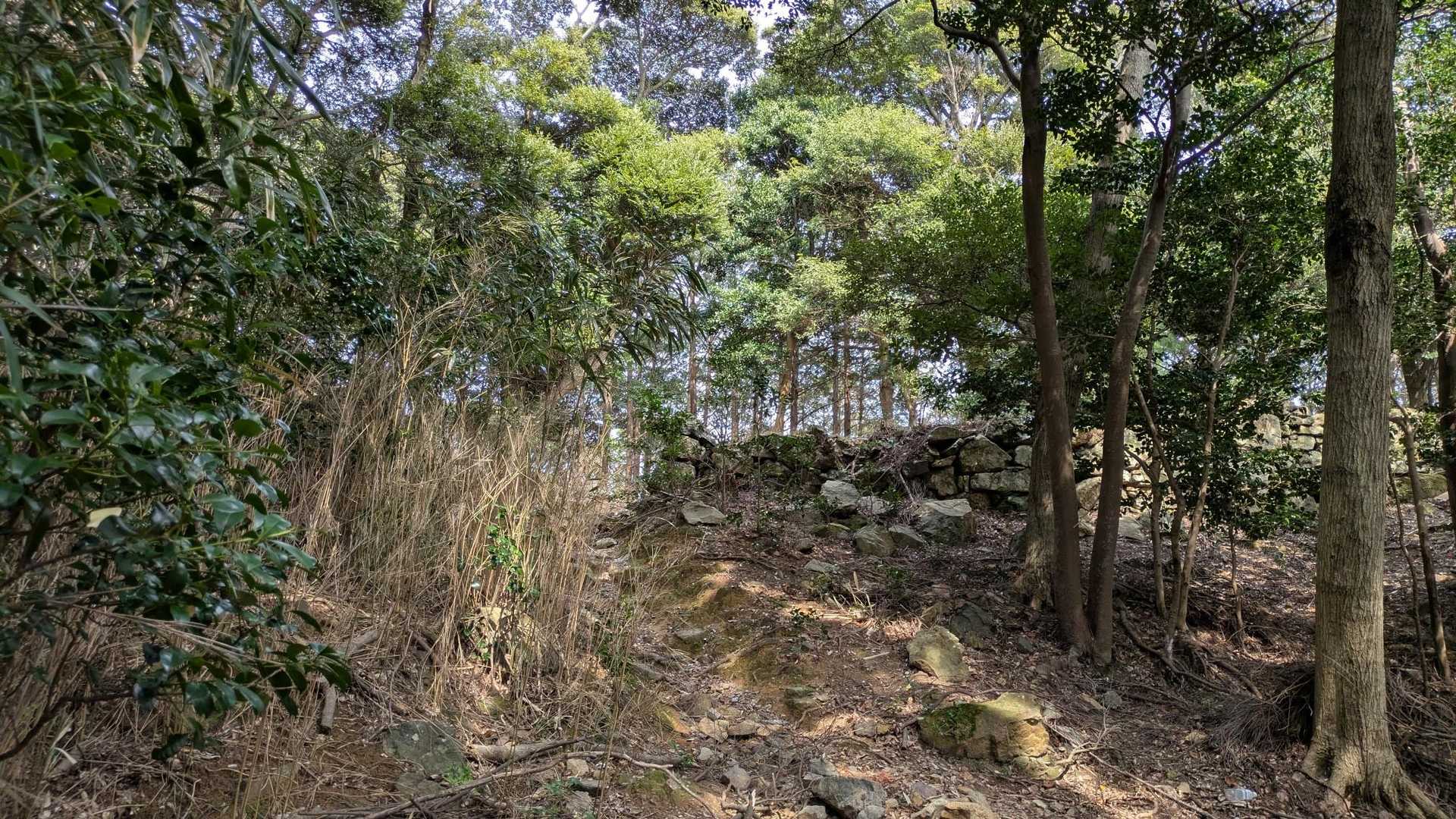 清水山-有明山 周回コースの写真