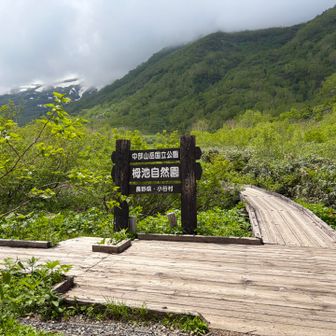 綺麗な木道が続いて歩きやすくしてくださってます