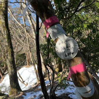 神懸山頂。コブ尾根からの尾根道はアップダウンがキツい。