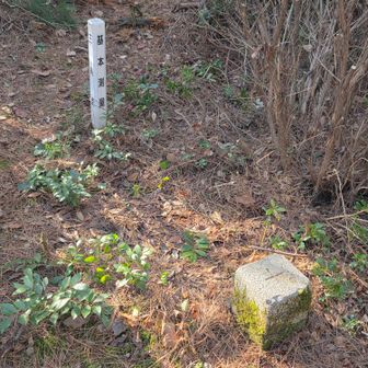 山鳥山313.5m
三等三角点
点名（是里）