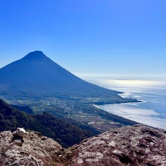 まさに開聞岳を見るための山⛰️