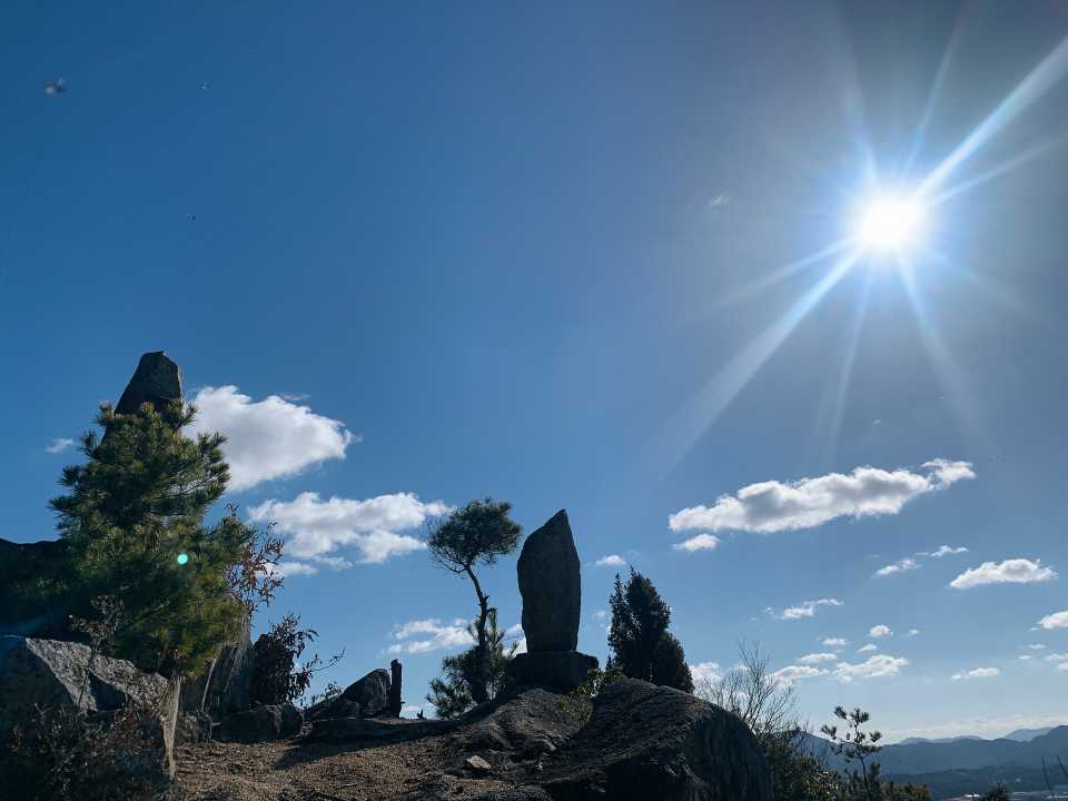 冬の太陽☀️
陽射しが心地良いですよね😊