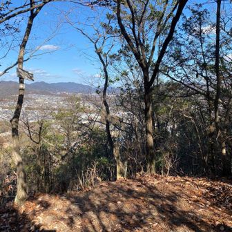 大平山まで戻って来ました