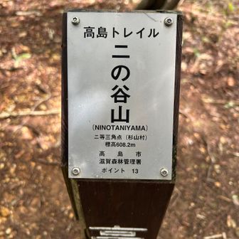 着いた〜