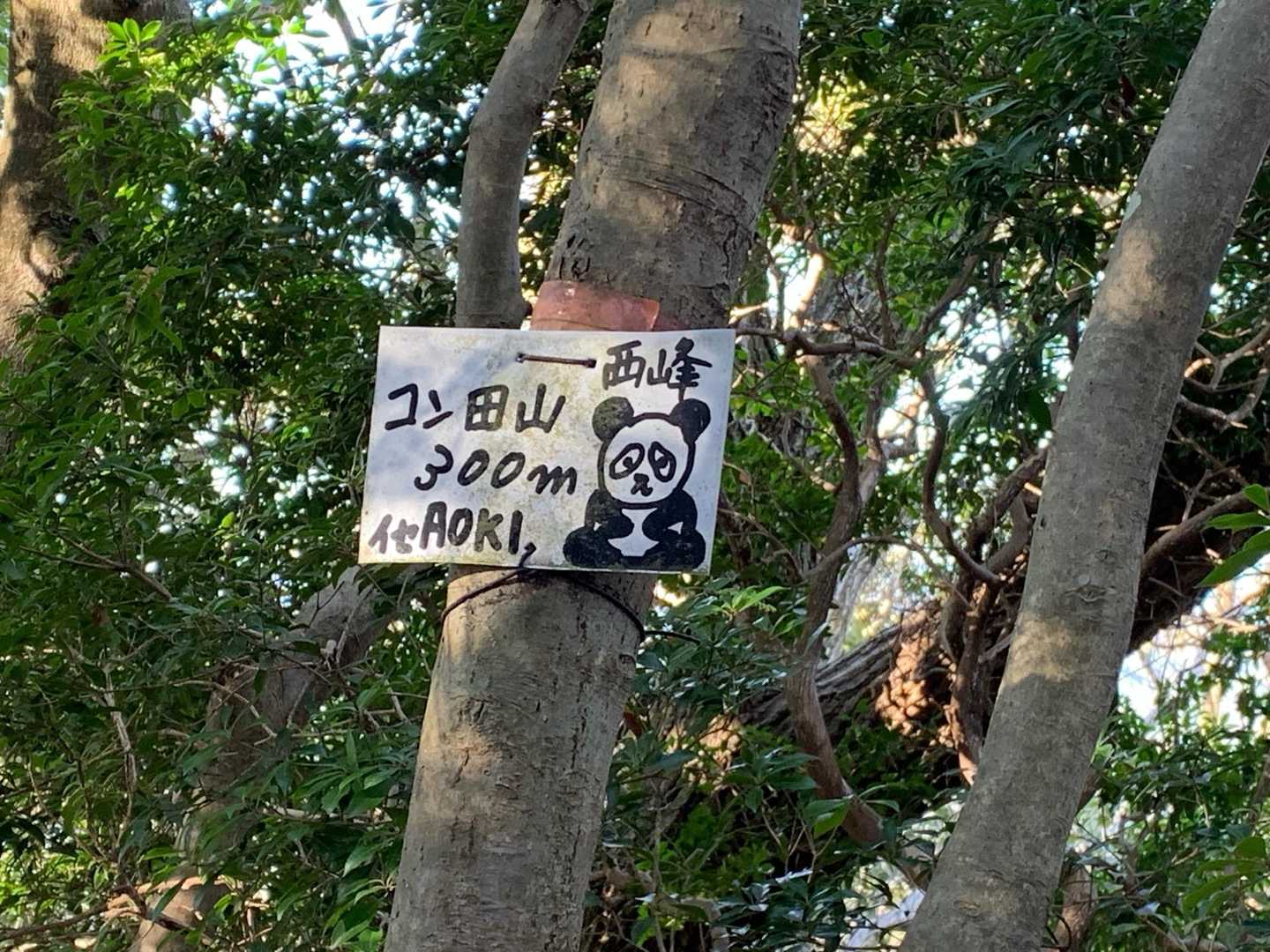 コン田山西峰に到着👍🏻
パンダ🐼は修行の身なのか？🧘

この手前はめっちゃ急登でした😂