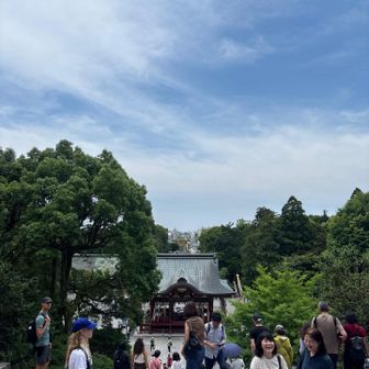 平日なのにすごい人だ