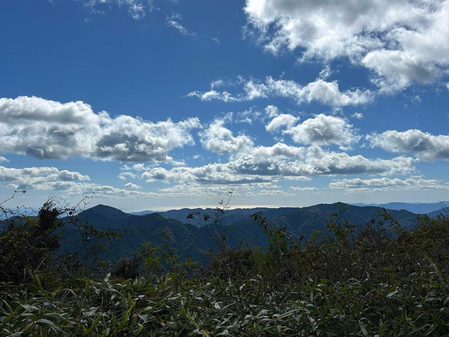 陣ヶ森登山口-陣ヶ森-戸矢ヶ森 往復コースの写真